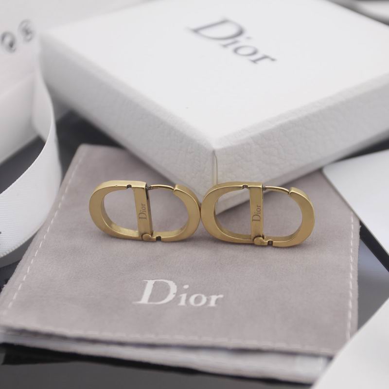 Dior Earring 04lyr365